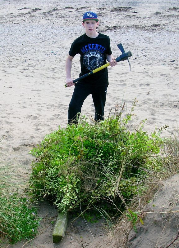 Photograph accompanying Easy UK Walking Holidays For Beginners: An Expert Guide - Horizon Guides